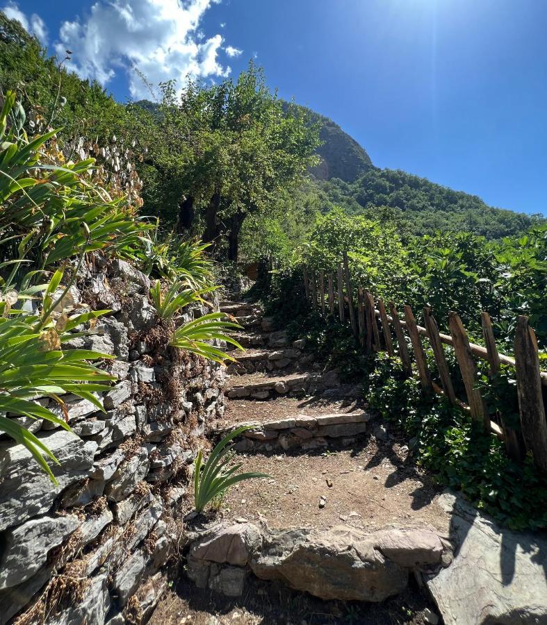 Maison d'hôtes Neomalsore Agrotourism, Komani Lake