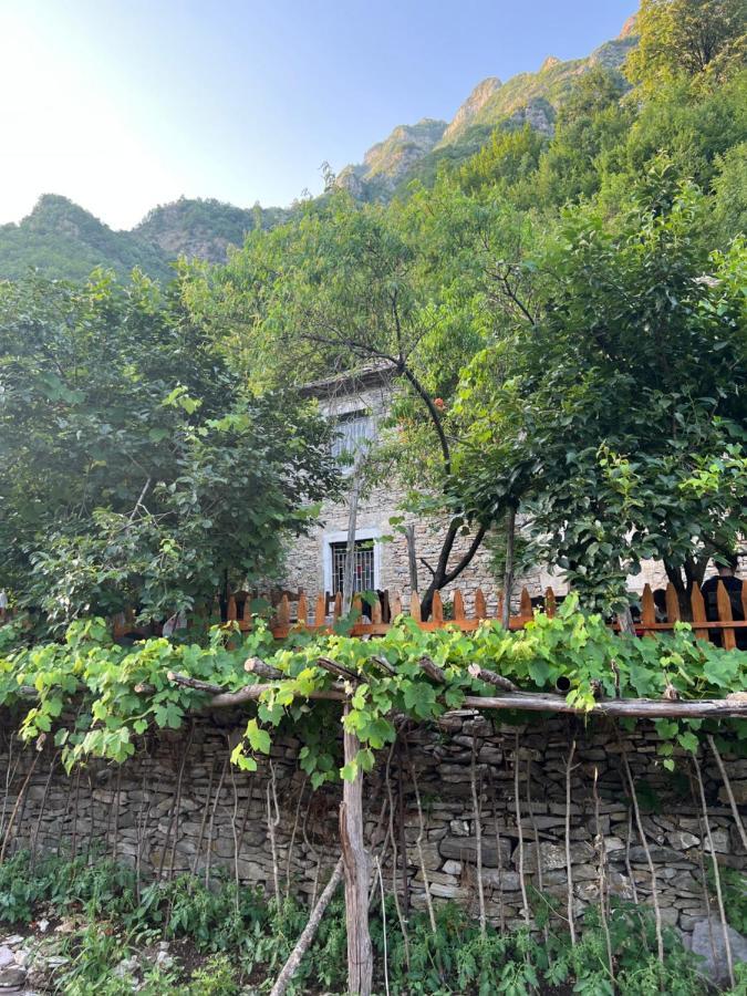 Maison d'hôtes Neomalsore Agrotourism, Komani Lake Koman