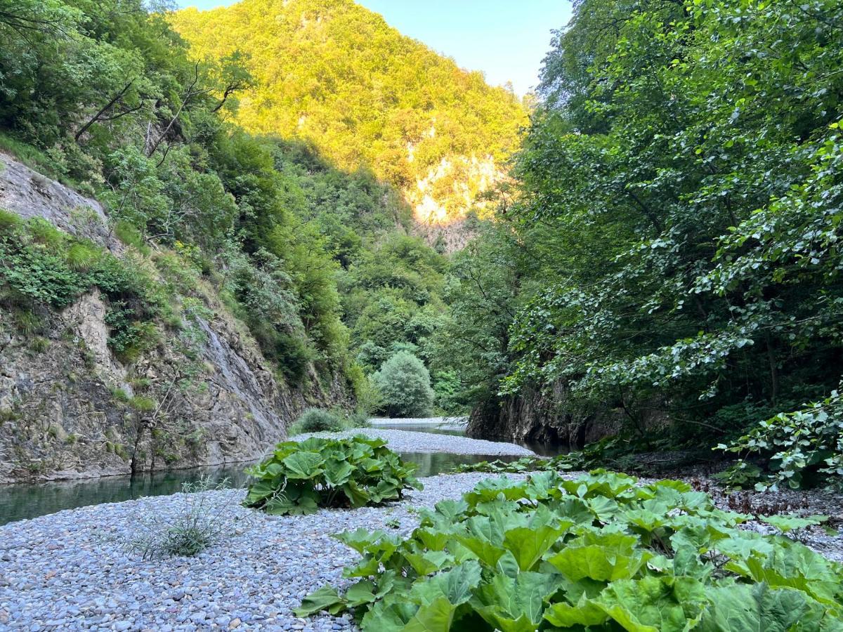 Neomalsore Agrotourism, Komani Lake Maison d'hôtes Koman