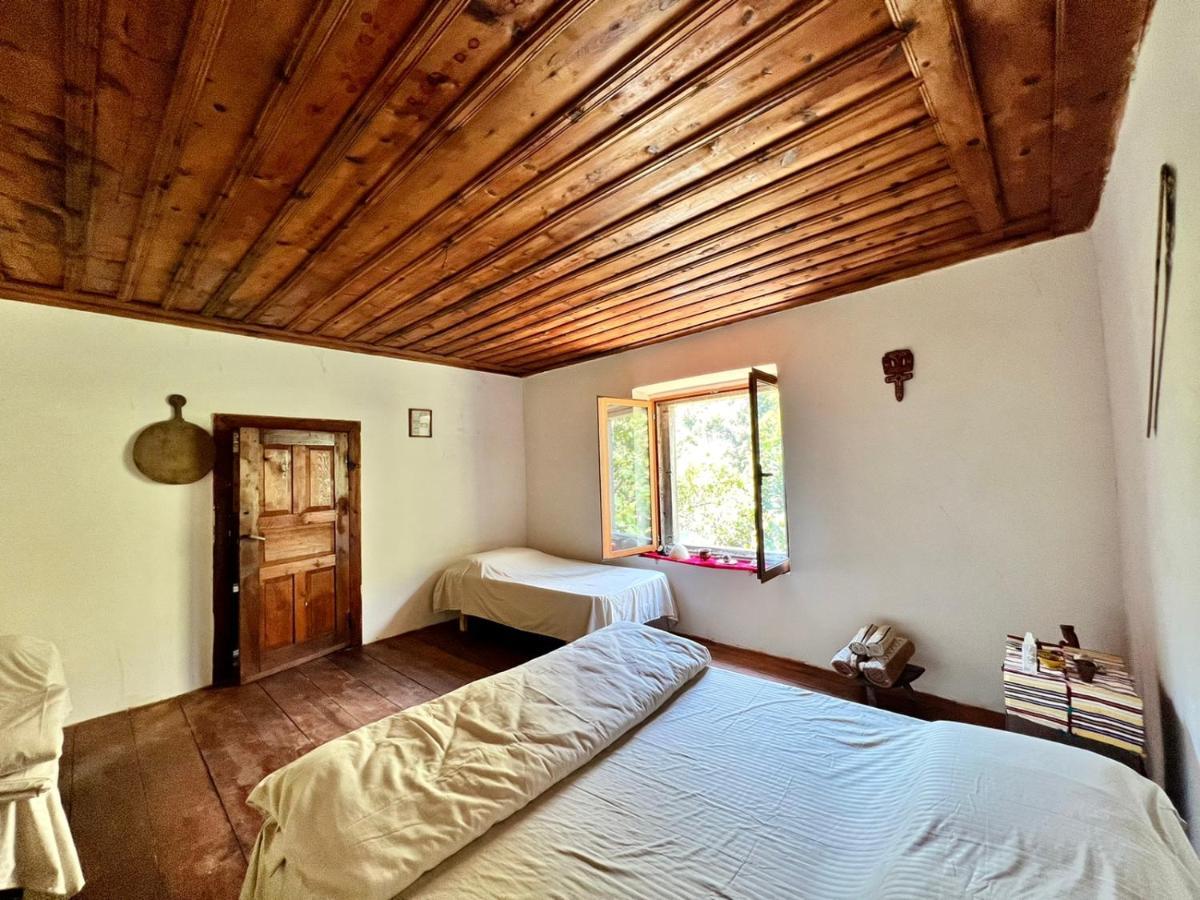 Maison d'hôtes Neomalsore Agrotourism, Komani Lake Koman