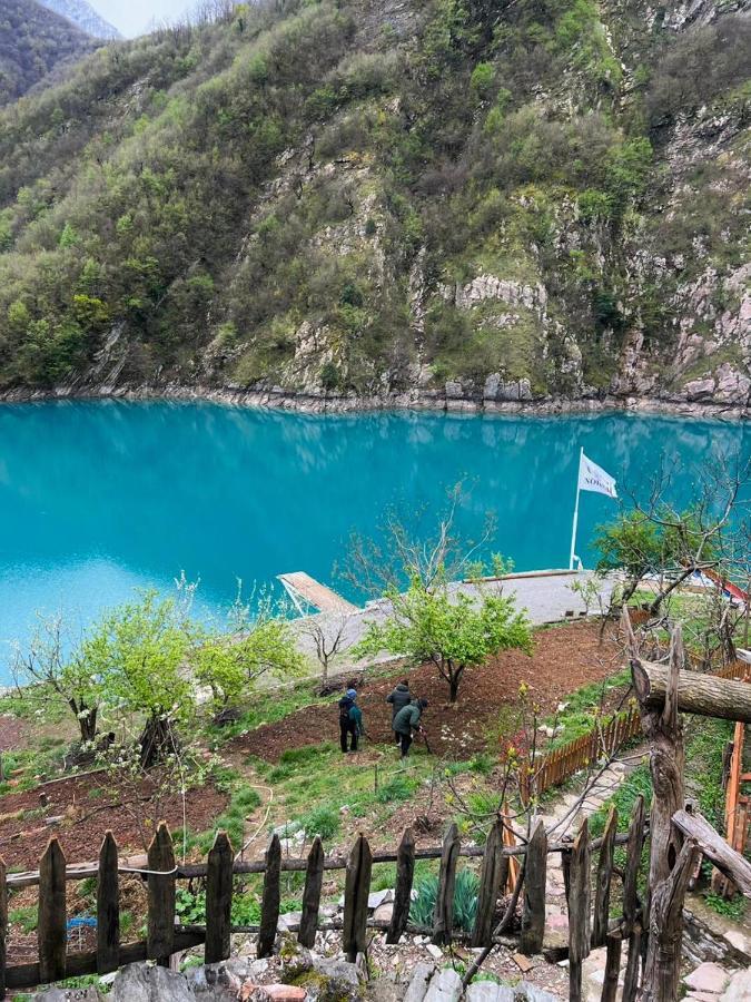 Neomalsore Agrotourism, Komani Lake Maison d'hôtes