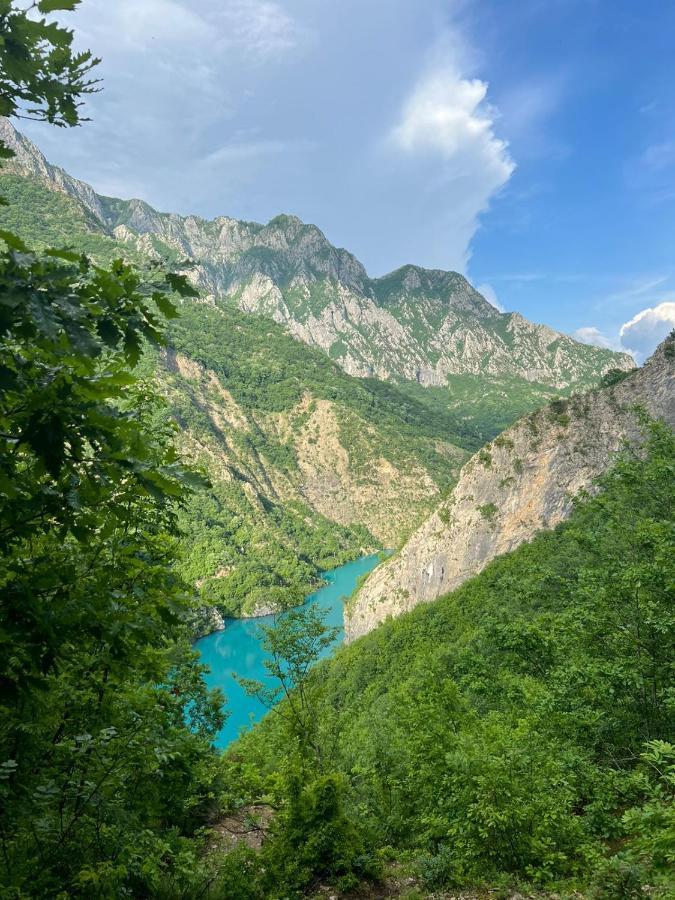 Gjestgiverier Neomalsore Agrotourism, Komani Lake