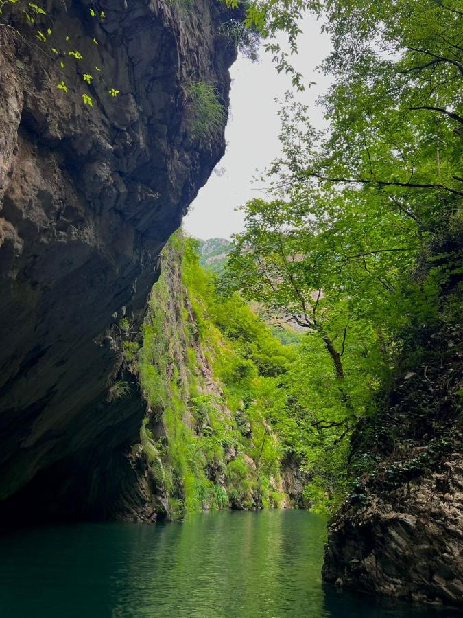 Neomalsore Agrotourism, Komani Lake Maison d'hôtes
