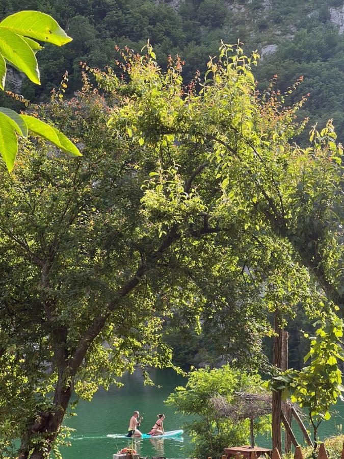 Neomalsore Agrotourism, Komani Lake Guest house